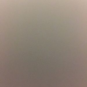 Meet your Posher, Venus